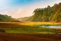 Dawn landscape with wild forest and lake in India. Periyar National Park, Kerala, India Royalty Free Stock Photo