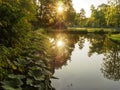 A beautiful dawn with reflection in the water of a forest lake in the city park of Vlaardingen Rotterdam, Netherlands, Holland Royalty Free Stock Photo