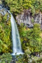 Beautiful Dawson Falls in Egmont National Park, New Zealand