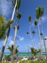 CRYSTAL CLEAR WATER IN BAVARO BEACH, PUNTA CANA, FEBRUARY 2021 Royalty Free Stock Photo