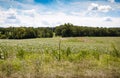 Farmed fields in the country