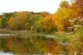A beautiful day with reflection the fall foliage at Folley Pond near Banning Park, Wilmington, Delaware, U.S.A Royalty Free Stock Photo