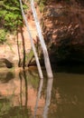 day on the river, sandstone cliffs and tree reflections in the water, blue sky reflected in the river water Royalty Free Stock Photo