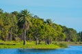 A beautiful day for a walk and the view of the island at John S. Taylor Park in Largo, Florida. Royalty Free Stock Photo