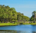 A beautiful day for a walk and the view of the wood bridge to the island at John S. Taylor Park in Largo, Florida. Royalty Free Stock Photo