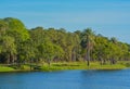 A beautiful day for a walk and the view of the wood bridge to the island at John S. Taylor Park in Largo, Florida. Royalty Free Stock Photo