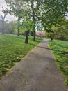 Walking trail and trees lots of greegreen