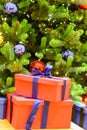 Beautiful decorated christmas tree with red and blue present box Royalty Free Stock Photo