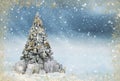 Beautiful decorated christmas tree in a snowy blue winterlandscape Royalty Free Stock Photo