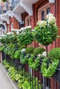 Beautiful decorated fence in Kensington, London