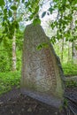 Beautiful decorated Runestone from the Viking Age in the woodland Royalty Free Stock Photo