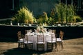 Decoration of the festive table in the open air summer garden. Outdoor catering Royalty Free Stock Photo