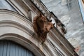 Beautiful decoration of the gate in old palace. Horses heads. Urban motif. Architectural detail, decor