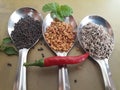 Decoration of spices in three tablespoons Royalty Free Stock Photo