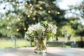 Beautiful decoration at the wedding on the table for guests Royalty Free Stock Photo