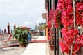 Liguria house corner with traditional decoration Royalty Free Stock Photo