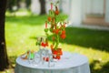 Beautiful decorations of tables for wedding reception. green park. no people. tree of hearts - decor for party. wooden word love.