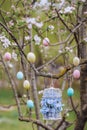 Beautiful decorative birdcage in the branches of a blossoming apple tree