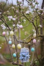 Beautiful decorative birdcage in the branches of a blossoming apple tree