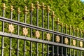 Beautiful decorative cast metal wrought fence with artistic forging. Iron guardrail close up.