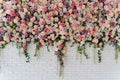 Beautiful Decorative Colorful Roses on Brick Wall