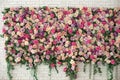 Beautiful decorative colorful roses and peonies on brick white wall. Interior wedding party decor. Wall with curly Flowers. Brick Royalty Free Stock Photo