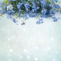 Beautiful decorative floral Card with flowers forget me-not