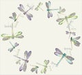 Beautiful decorative framework with dragonfly.Gree Royalty Free Stock Photo