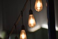 Beautiful decorative incandescent lamps