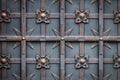 Beautiful decorative metal elements forged wrought iron gates