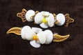 Beautiful decorative seashell hair clip for ladies.