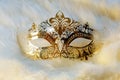 Beautiful decorative venice style mask with filigrane linear ornaments on fur background. Royalty Free Stock Photo