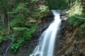 beautiful deep forest waterfall