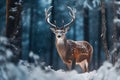 Beautiful deer Against the backdrop of winter forest Ai Generated Royalty Free Stock Photo
