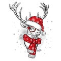 Beautiful deer in Christmas hat, scarf and glasses.