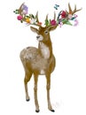 Beautiful deer with floral wreath Royalty Free Stock Photo
