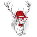 Beautiful deer in a hat, sunglasses and a tie.