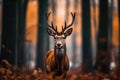 A beautiful deer stands in the lush forest