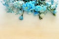 beautiful and delicate blue flowers arrangement on white wooden background Royalty Free Stock Photo