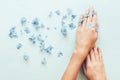 Beautiful delicate nude manicure with small flowers and hydrangea petals on a blue background Royalty Free Stock Photo