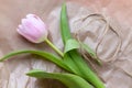Beautiful delicate pink tulip flower and waxed cord on packaging kraft paper background