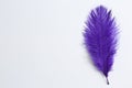 Beautiful delicate purple feather on white background. Space for text Royalty Free Stock Photo