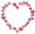 Beautiful delicate ring like heart of ripe juicy red strawberries watercolor hand sketch