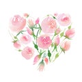 Beautiful delicate tender cute elegant lovely floral colorful spring summer pink and red roses with buds and leaves bouquet like a Royalty Free Stock Photo