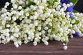 Beautiful delicate white flowers of Lily of the valley. Bouquet of spring flowers Convallaria close-up Royalty Free Stock Photo