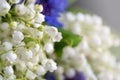 Beautiful delicate white flowers of Lily of the valley. Bouquet of spring flowers Convallaria close-up Royalty Free Stock Photo