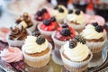 Beautiful delicious cakes. confectionery curry at a festive party. many sweet muffins on a tray Royalty Free Stock Photo