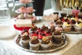 Beautiful delicious cakes. confectionery curry at a festive party. many sweet muffins on a tray Royalty Free Stock Photo