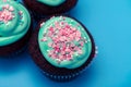 Beautiful and delicious chocolate cupcake with blue icing and pink sugar hearts close up Royalty Free Stock Photo