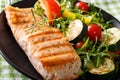 Beautiful and delicious food: grilled salmon fillets and vegetable salad with arugula close-up. horizontal Royalty Free Stock Photo